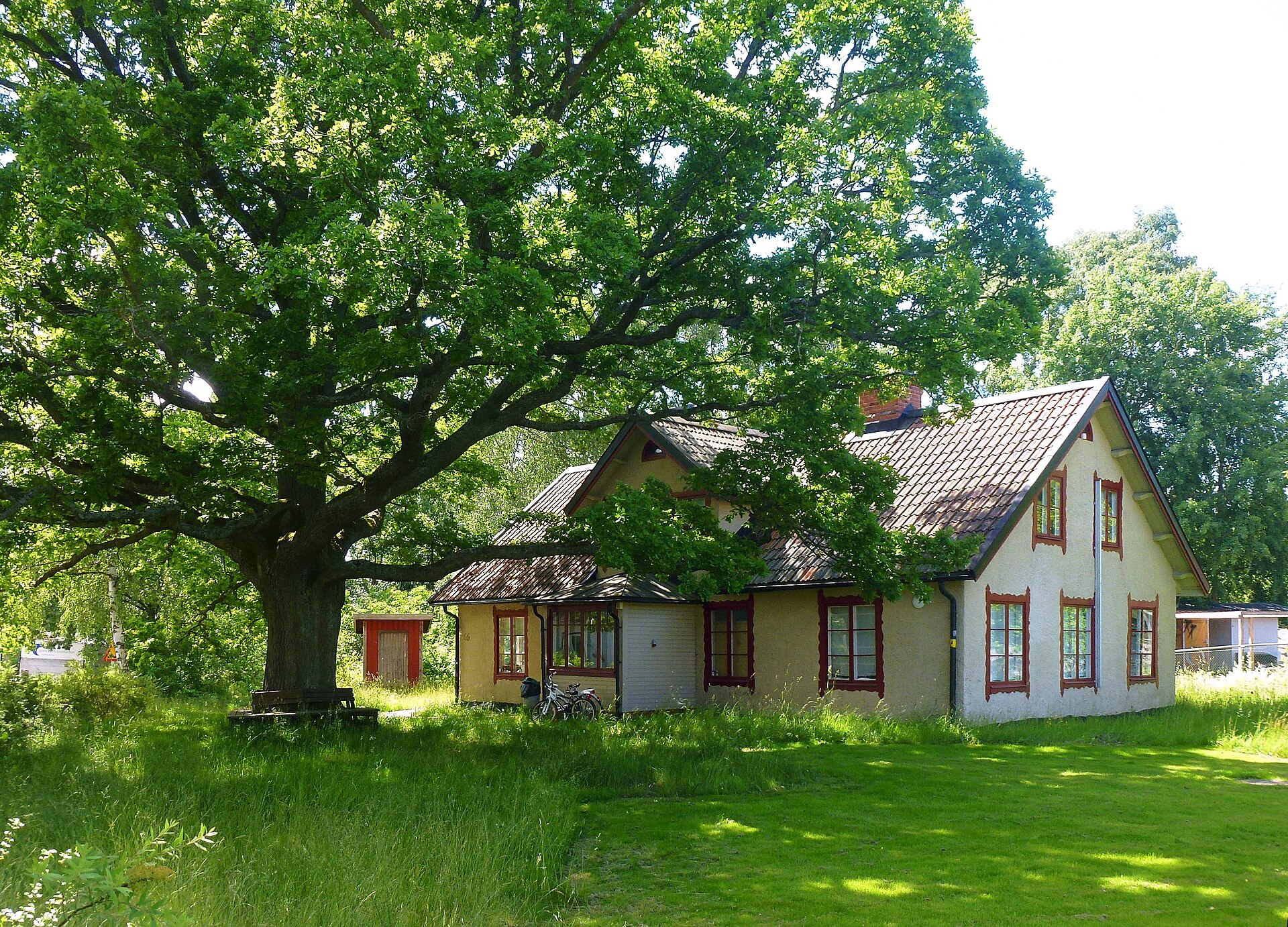 A mature tree with low branches extending toward the roof of a house
